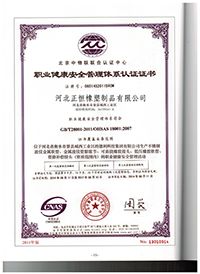職業(yè)健康安全管理體系認(rèn)證證書(shū)